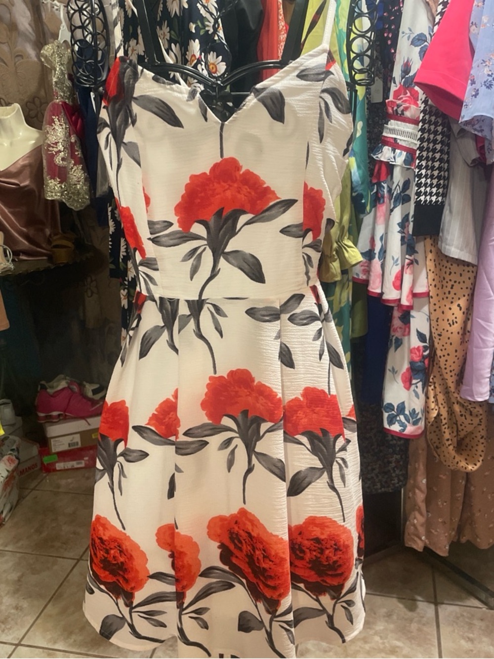 Sleeveless Floral Fit & Flare Mini Dress - White with Red Floral